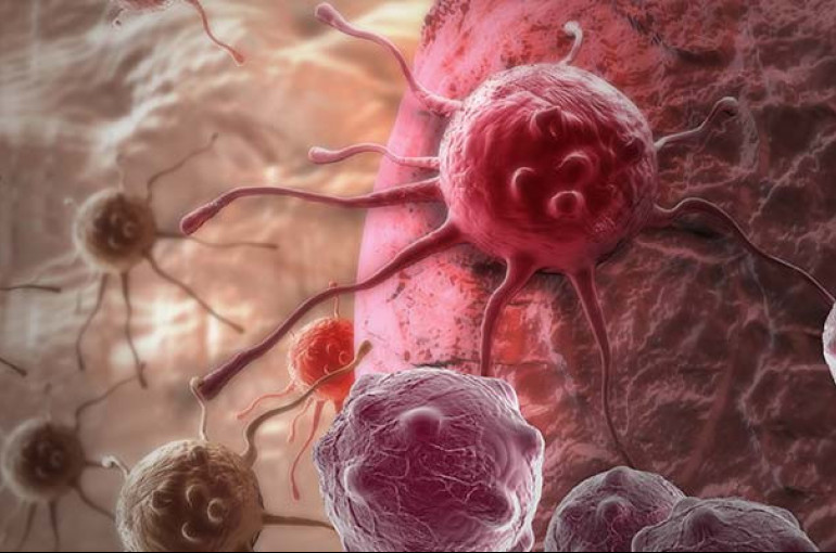 ՌԴ գիտնականները քաղցկեղի դեմ պայքարի միացություններ են ստեղծել, որոնք կարող են ճնշել չարորակ բջիջների ակտիվությունը